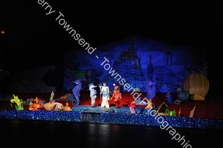 LittleMermaid_0014