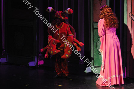 LittleMermaid_0532